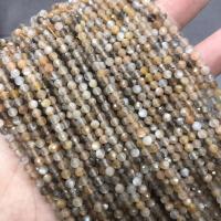 Rutilated Quartz Beads, polished & faceted, multi-colored 