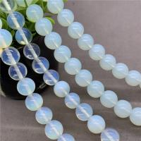 Sea Opal Beads, Round, polished  Approx 14.6 Inch 