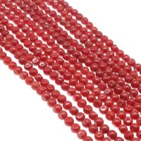 Perles en corail naturel, Rond, poli, DIY, rouge, 5mm, Vendu par brin