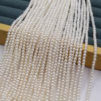 Round Cultured Freshwater Pearl Beads, natural, DIY, white, 3-3.5mm cm 