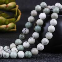 Landschafts-Jaspis Perlen, Bild Jaspis, rund, poliert, verschiedene Größen vorhanden, grün, Länge:ca. 15.4 ZollInch, verkauft von Strang