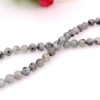 Lotus Jaspis Perlen, Lotos Jaspis, rund, poliert, DIY & verschiedene Größen vorhanden, verkauft von Strang