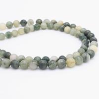 Green Grass Stone Beads, Round, polished, DIY 