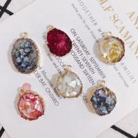 Resin Zinc Alloy Pendants, with Resin, gold color plated, DIY 