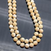 Turbanschnecken Perlen, rund, poliert, DIY & verschiedene Größen vorhanden, keine, verkauft von Strang