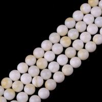 Perles en coquille naturel, Rond, Oindre, DIY & normes différentes pour le choix, blanc, Vendu par brin