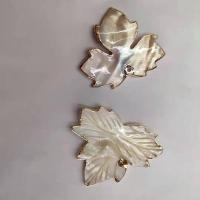 Natural Freshwater Shell Pendants, Pearl Shell, Maple Leaf, durable & DIY 