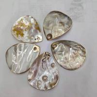 Colgantes de Nácar Natural, Concha de perla, Gota, Sostenible & Bricolaje, 50x62x4mm, 20PCs/Bolsa, Vendido por Bolsa