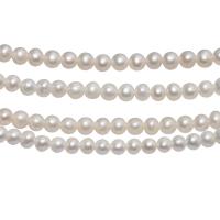 Round Cultured Freshwater Pearl Beads, polished, DIY, white, 4-5mm 