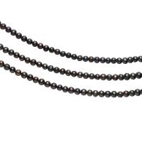 Round Cultured Freshwater Pearl Beads, polished, DIY, black, 6-7mm 