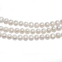 Round Cultured Freshwater Pearl Beads, polished, DIY, white, 7-8mm 