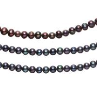 Round Cultured Freshwater Pearl Beads, plated, DIY, black, 7-8mm 