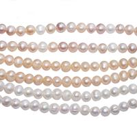 Round Cultured Freshwater Pearl Beads, polished, DIY 8-9mm 