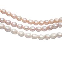 Rice Cultured Freshwater Pearl Beads, irregular, polished, DIY 10-11mm 