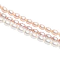 Rice Cultured Freshwater Pearl Beads, irregular, polished, DIY 4-5mm 