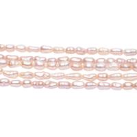 Rice Cultured Freshwater Pearl Beads, irregular, polished, DIY, pink, 2-3mm 