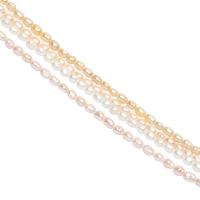 Rice Cultured Freshwater Pearl Beads, irregular, polished, DIY 3mm 