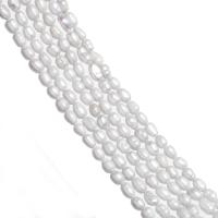 Rice Cultured Freshwater Pearl Beads, polished, DIY, grey, 4-5mm 