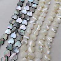 Perles en coquille naturel, coeur, DIY, plus de couleurs à choisir, 12-13mm Vendu par brin