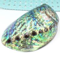 coquille d'ormeau décoration d'objet artisanal, unisexe, multicolore Vendu par PC