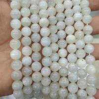 Mondstein Perlen, rund, poliert, DIY & verschiedene Größen vorhanden, weiß, verkauft von Strang