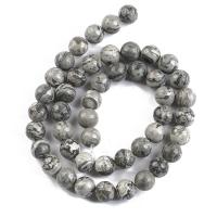 Map Stone Beads, Round, polished, DIY grey 