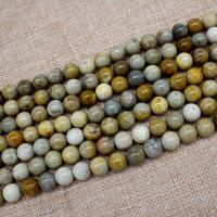 Chrysanthemum Stone Bead, Round, polished, DIY 