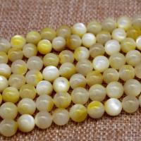 Natural Gold Tridacna Beads, Round, polished, DIY yellow 