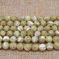 Turbanschnecken Perlen, rund, poliert, DIY & verschiedene Größen vorhanden, gelb, verkauft von Strang