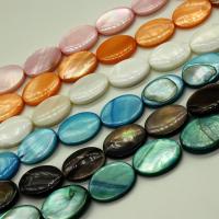 Dyed Shell Beads, Flat Oval, polished, DIY 