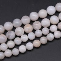 Perlas naturales ágata loca, Ágata loca, Esférico, Joyería & Bricolaje & diverso tamaño para la opción, Blanco, Vendido por Sarta