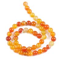 Natural Red Agate Beads, Lace Agate, Round, polished, DIY yellow 