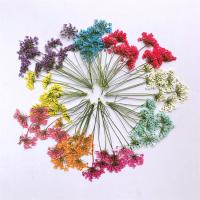 Kit de bricolage bijoux conclusion, Fleurs séchées, fleur, DIY, plus de couleurs à choisir, 50mm Vendu par sac