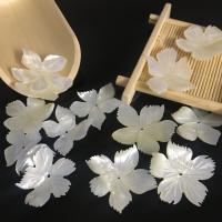 Natural White Shell Beads, White Lip Shell, Flower, fashion jewelry & DIY white 