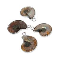 Gemstone Jewelry Pendant, Synthetic Gemstone, with Stainless Steel, Conch, silver color plated 