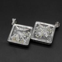 Crystal Jewelry Pendants, with Stainless Steel, Square, silver color plated 