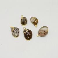 Трубные оболочки кулон латунь, Трубчатая ракушка, с цинковый сплав, плакирован золотом, DIY, 15-25mm, продается PC