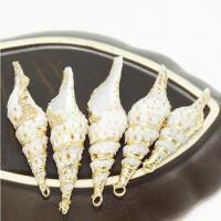 Трубные оболочки кулон латунь, Трубчатая ракушка, с цинковый сплав, Ракушка, плакирован золотом, DIY, 40-60mm, продается PC