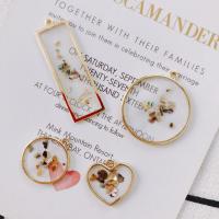 Resin Zinc Alloy Pendants, with Shell & Resin, gold color plated, DIY & enamel 