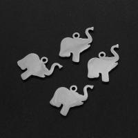 Colgantes de acero inoxidable de animales, Elefante, chapado en color de plata, 12x17x1mm, Vendido por UD