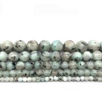 Lotus Jaspis Perlen, Lotos Jaspis, rund, poliert, DIY & verschiedene Größen vorhanden, verkauft von Strang