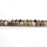 Gobi Agate Beads, plated, fashion jewelry & DIY 