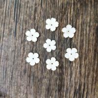 Natural Freshwater Shell Beads, polished, DIY 10mm 
