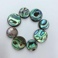 Abalone Shell Beads, Round, DIY 