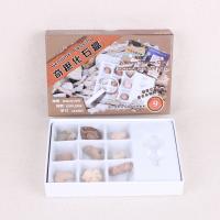 Synthetic Gemstone Fossils Specimen, with paper box, Rectangle, durable 