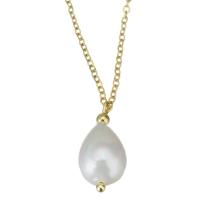 South Sea Shell Necklace, Stainless Steel, with Shell Pearl, gold color plated 1.5mm Approx 17 Inch 