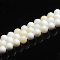 Natural White Shell Beads, Round 
