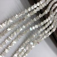 Natural White Shell Beads, Star 