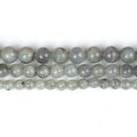Labradorite Beads, plated, DIY 