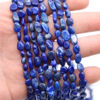 Gemstone Chips, Lapis Lazuli, irregular, polished, DIY, lapis lazuli 